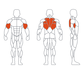 LD1034坐式平行拉背训练器 副本 LD1034坐式平行拉背训练器 副本
