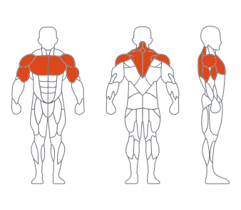 GL-7095直臂夹胸练习器 GL-7095直臂夹胸练习器